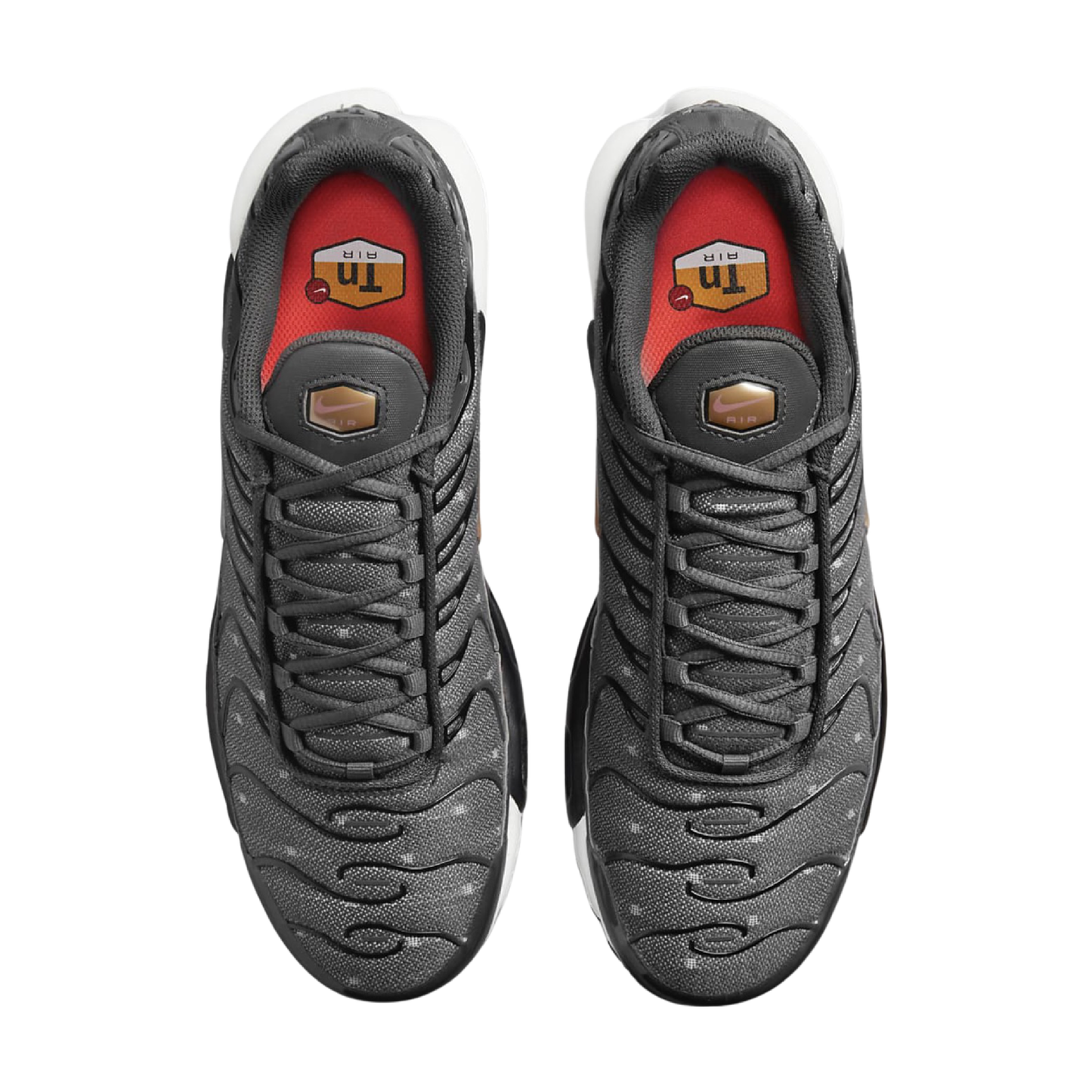 Air Max Plus ‘Bronze Chrome’