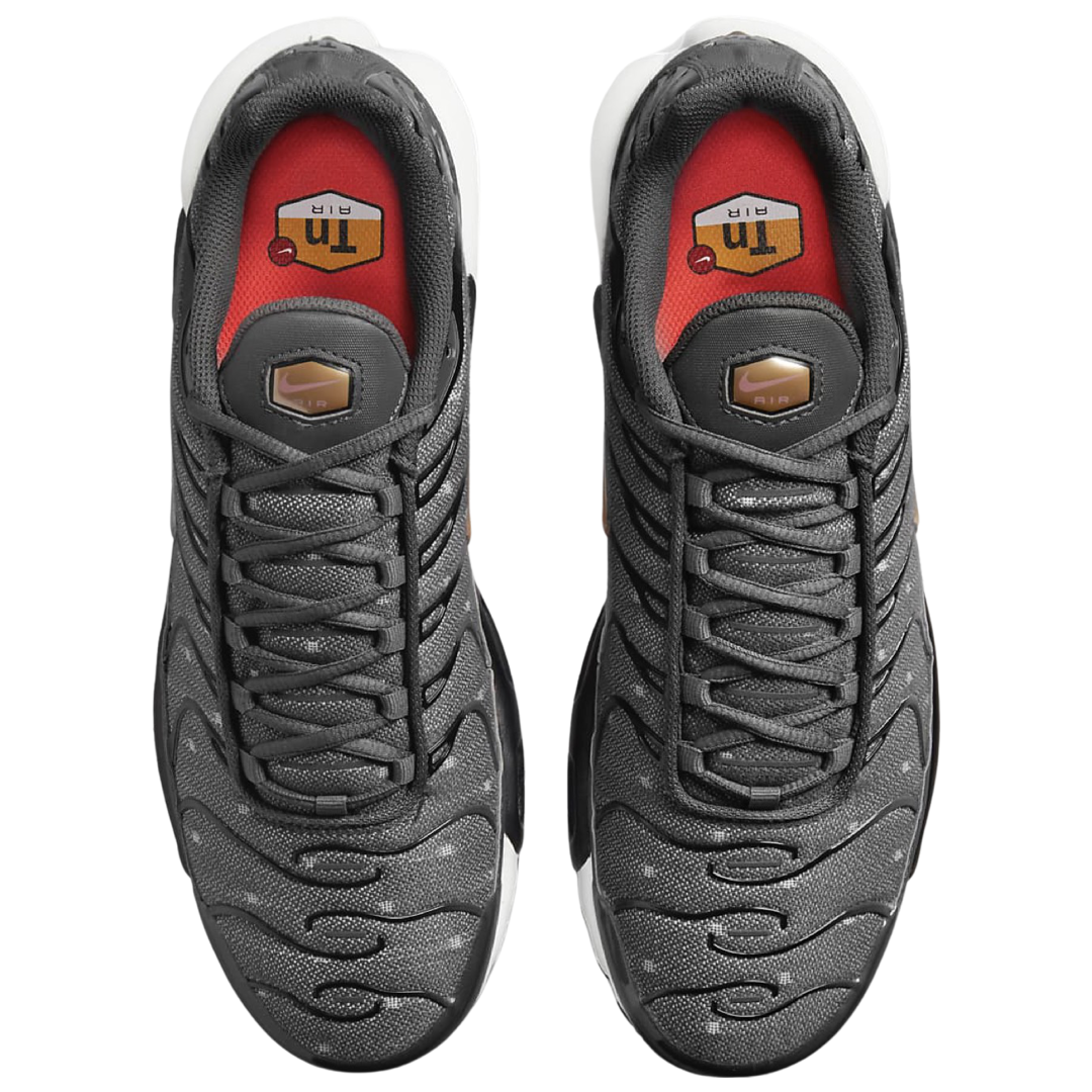 Air Max Plus ‘Bronze Chrome’