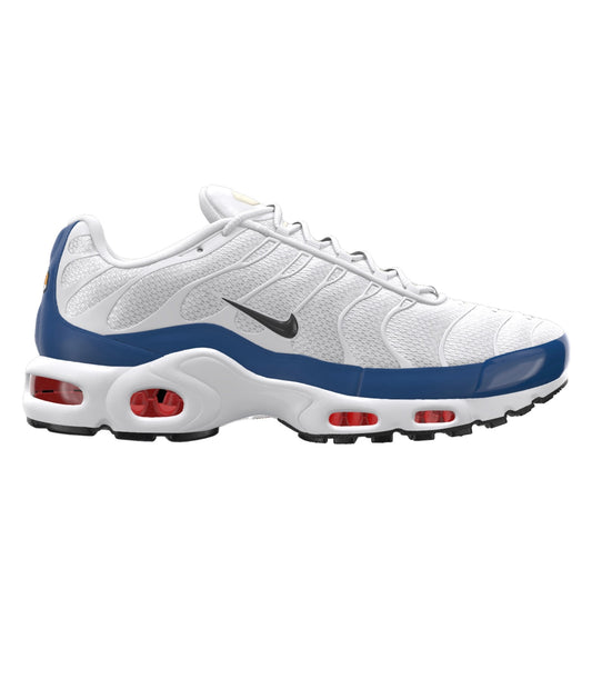 Air Max Plus Blueprint ID