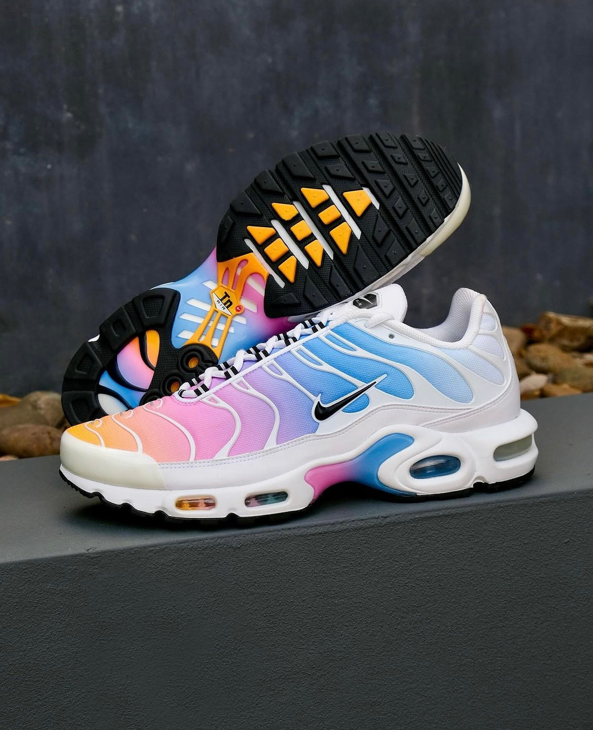 Air Max Plus Rainbow TRAQSUIT