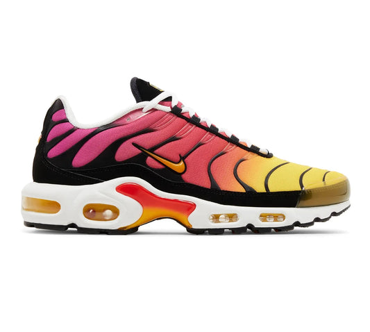 Air Max Plus "RAINBOW OG"