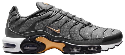 Air Max Plus ‘Bronze Chrome’