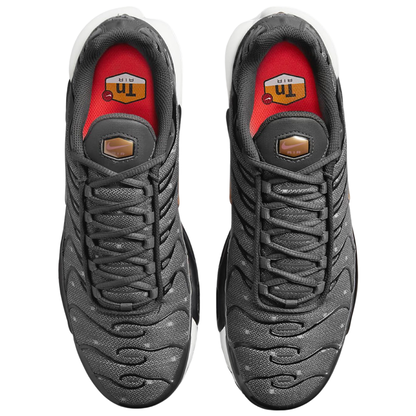 Air Max Plus ‘Bronze Chrome’