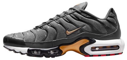 Air Max Plus ‘Bronze Chrome’